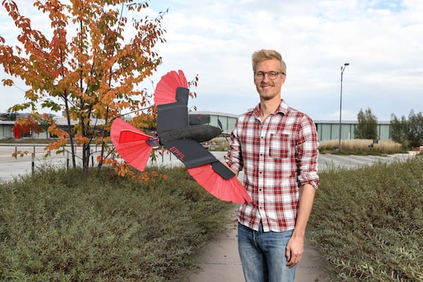 A raptor-inspired drone with morphing wing and tail