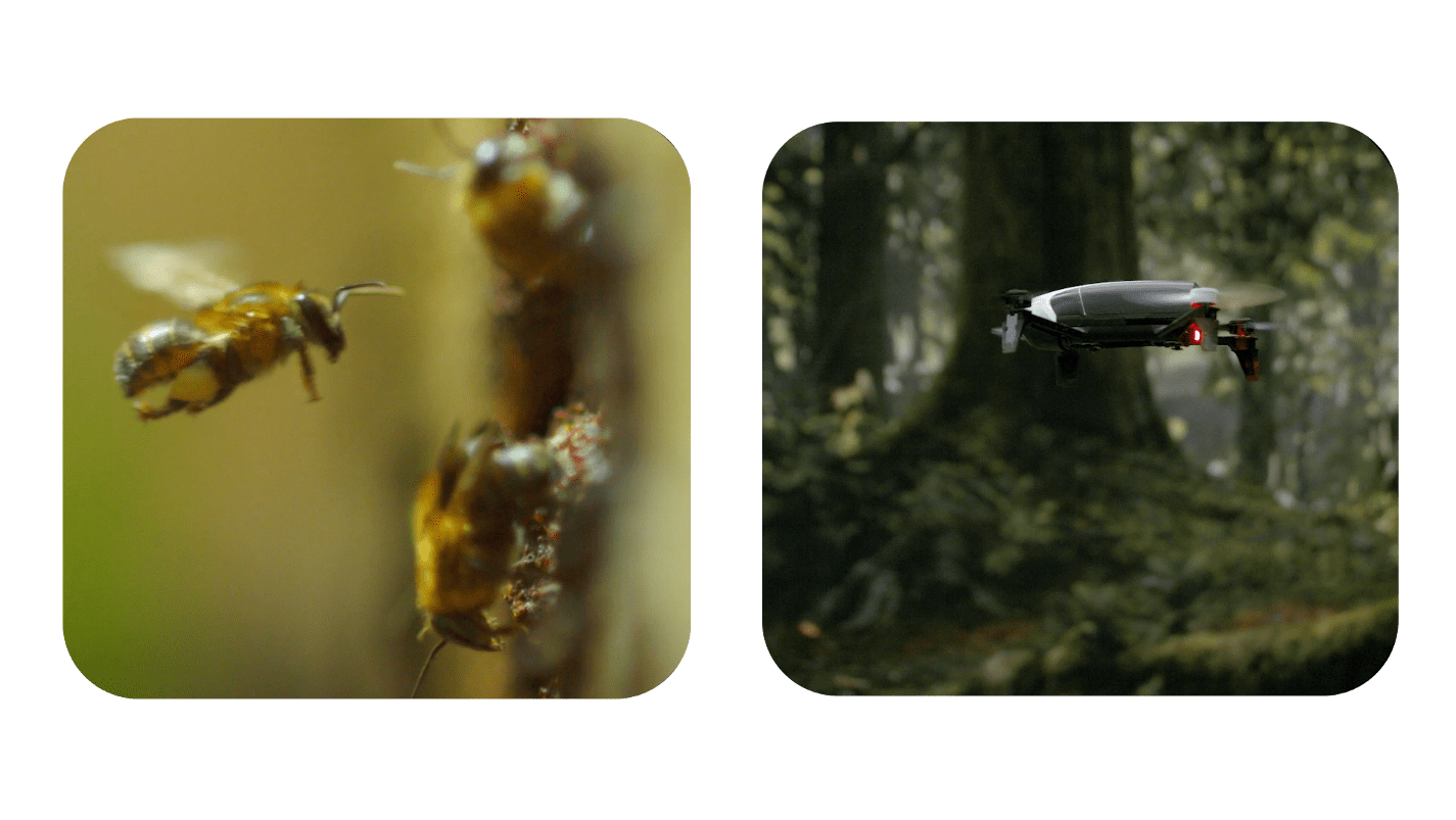 Self-supervised learning of visual appearance solves fundamental problems of optical flow