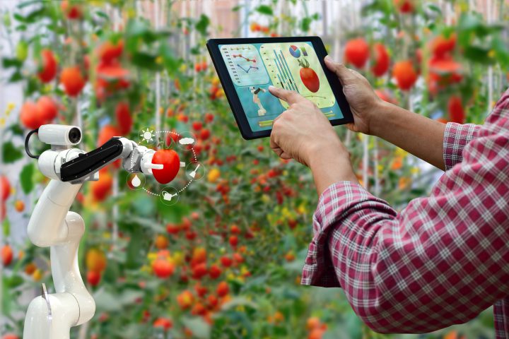 What is the future of Agri-Food Robotics in the EU and beyond?