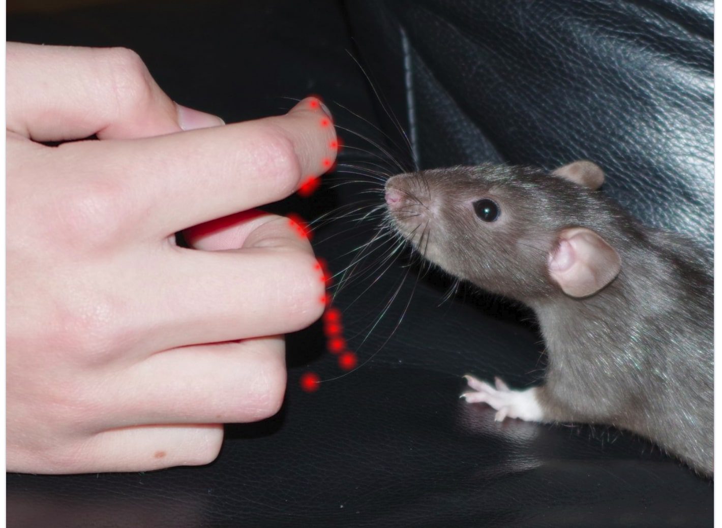 Touch sensing: An important tool for mobile robot navigation