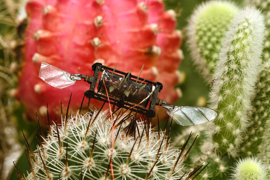Resilient bug-sized robots keep flying even after wing damage