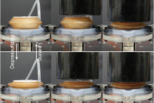 Sponge makes robotic device a soft touch